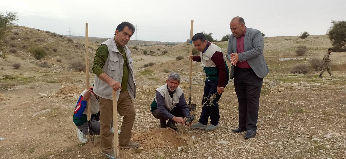روز درختکاری در شهرستان بهمئی 