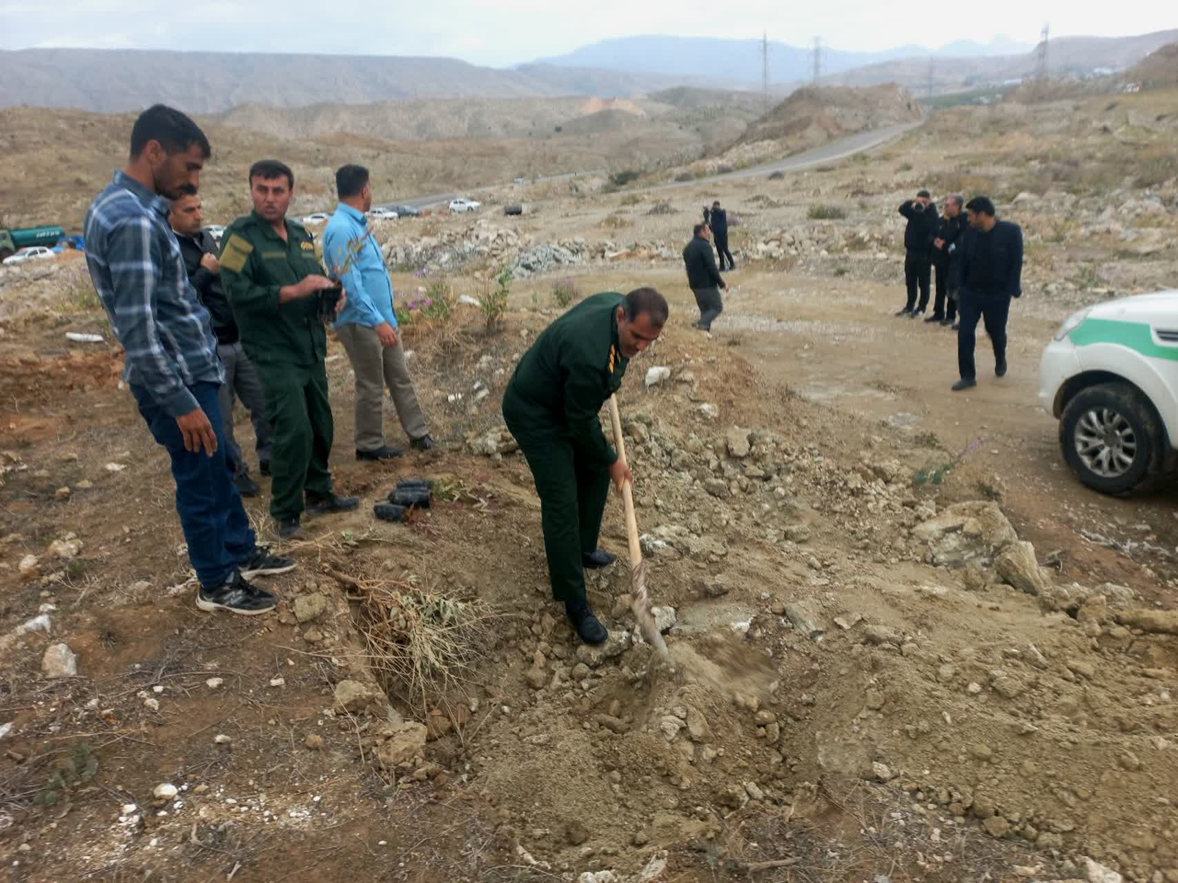 روز درختکاری در شهرستان گچساران