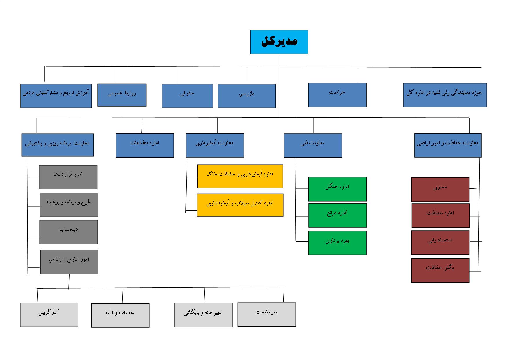 ساختار سازمان